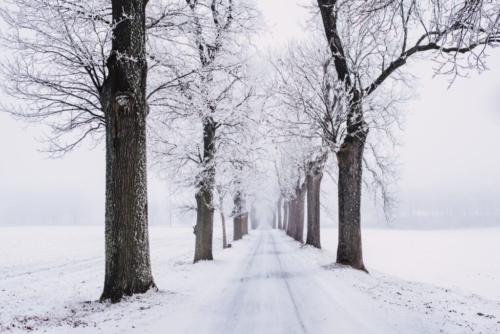 Deep Peace. Image of a pathway in a snowy landscape with ice-covered, bare trees on either side of it.